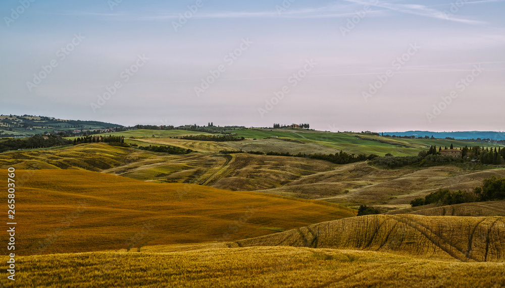 Obraz premium View of a autumn day in the Italian rural landscape. Unique sundown tuscany landscape in fall time. Wave hills, cypresses trees and cloudly sky. Tuscany, Italy, Europe