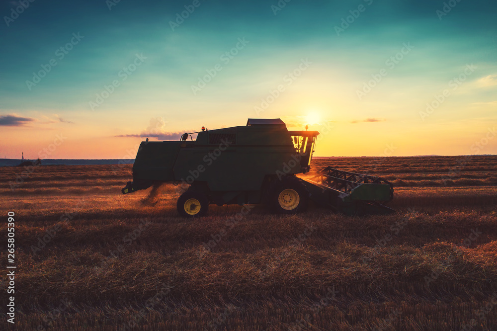 Combine harvester machine working in a wheat field at sunset. Combine harvester machine working in a wheat field at sunset.