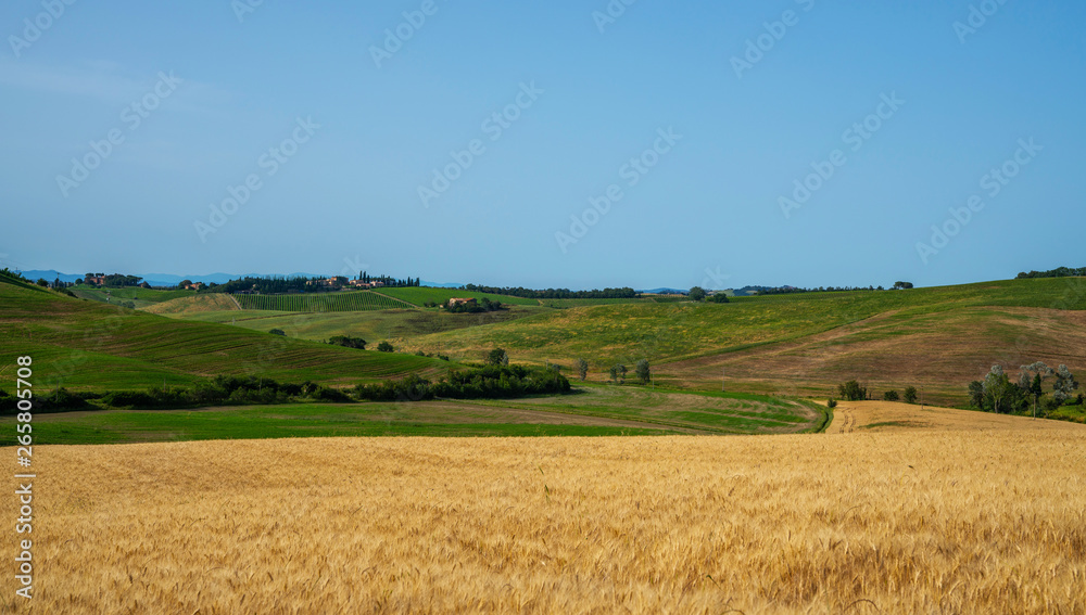 Tuscany, Italy. Tuscan hills during harvest period. Unique landscape with rolling hills. Travel. Beautiful destination. Vacation trip.