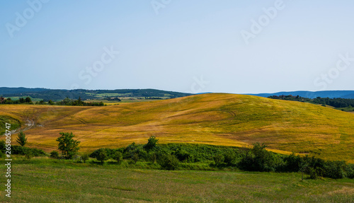 Golden autumn in Tuscany. Italy. Tuscany landscape. Europa.