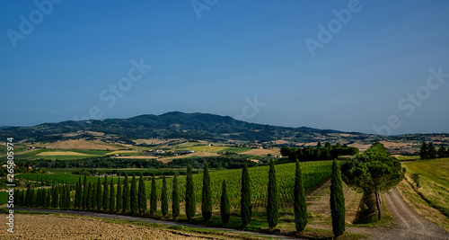 Unique tuscany landscape in summer time - wave hills  cypresses trees and beautiful colors of sky. Tuscany  Italy  Europe.