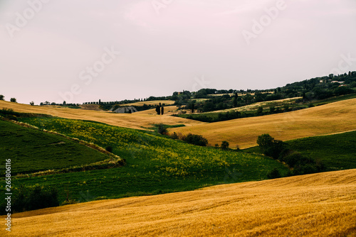 Traditional countryside and landscapes of beautiful Tuscany. Fields in golden colors and cypresses. Italy, Europe. Holiday, traveling concept. Agro tour of Europe.