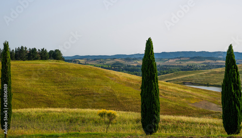 Tuscany  Italy. Tuscan hills during harvest period. Unique landscape with rolling hills. Travel. Beautiful destination. Vacation trip.