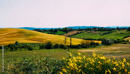 View of the colorful hills Tuscany fields in the golden morning light . Rural landscape. Rolling hills, countryside farm, cypresses trees. Italy, Europe.