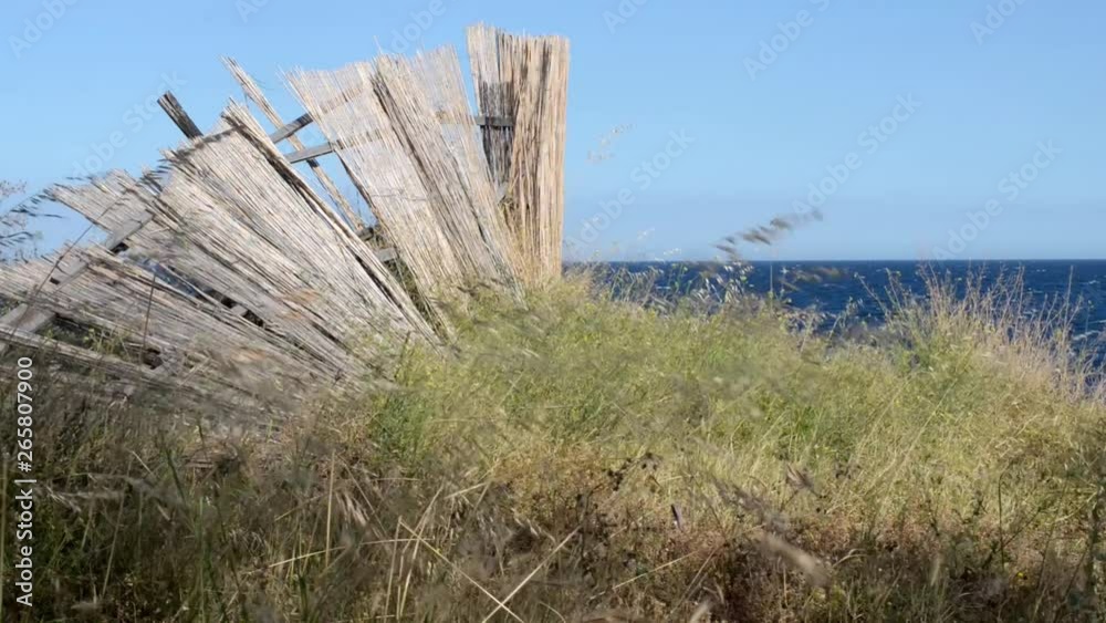 strong wind on the beach on a sunny spring day strong wind on the beach on a sunny spring day