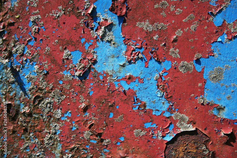 Rusted metal texture with peeling blue and red paint. Old metal wallpaper Rusted metal texture with peeling blue and red paint. Old metal wallpaper