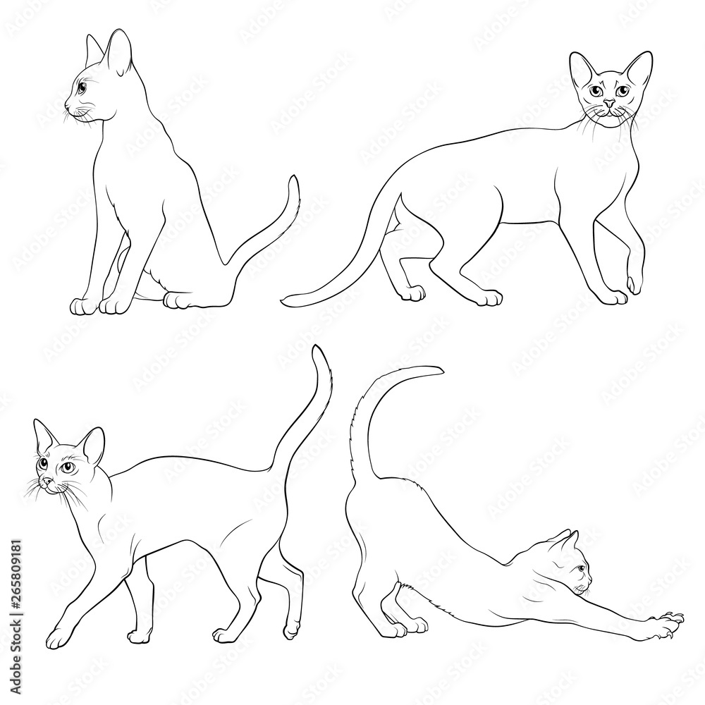 Pixel Art Vector Abyssinian Cat Icon Isolated On White Background Stock  Illustration - Download Image Now - iStock