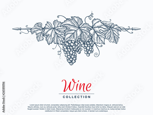 Hand drawn grape wreath. Template for your design works. Engraved style vector illustration.