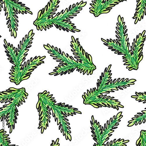 Christmas seamless pattern hand-drawn. Green branch of the Christmas tree on a white background.