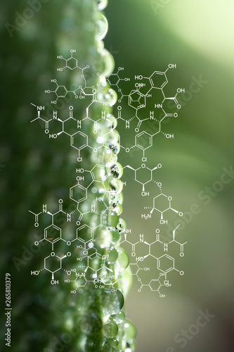 Plants background with biochemistry structure.