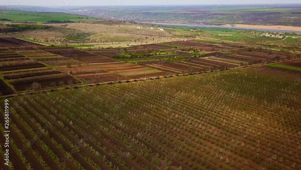 Aerial nature video. Flight over spring apple garden. Aerial nature video. Flight over spring apple garden.
