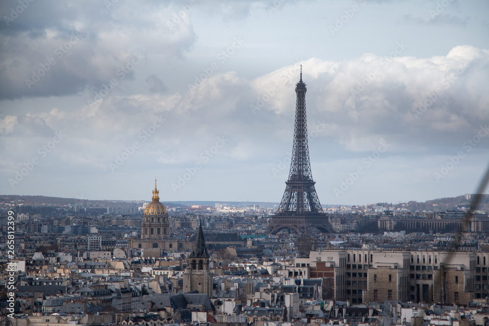 Paris from Notre Damme