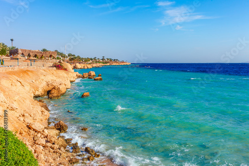 Sunny resort beach with palm tree at the coast shore of Red Sea in Sharm el Sheikh, Sinai, Egypt, Asia in summer hot. Bright sunny light © oleg_p_100