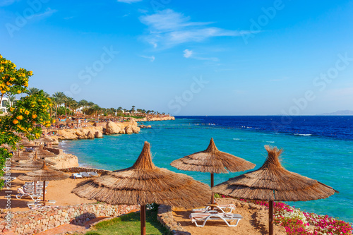 Sunny resort beach with palm tree at the coast shore of Red Sea in Sharm el Sheikh, Sinai, Egypt, Asia in summer hot. Bright sunny light photo
