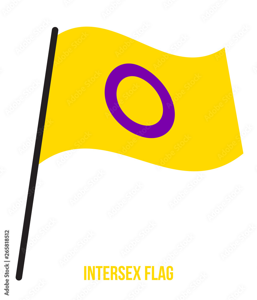 Intersex Flag Waving Vector Illustration Designed with Correct Color