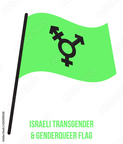 Israeli Transgender & Genderqueer Flag Waving Vector Illustration Designed with Correct Color Scheme.