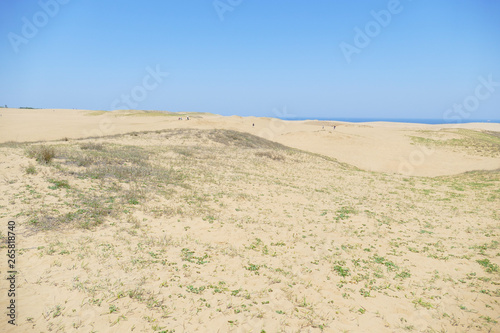 鳥取砂丘の風景