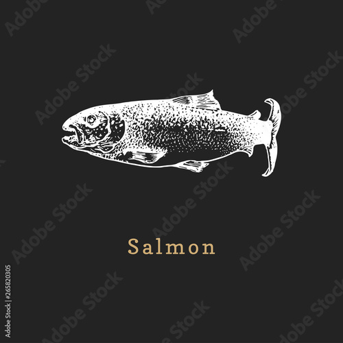 Illustration of salmon on black background. Fish sketch in vector. Drawn seafood in engraving style for shop label etc.