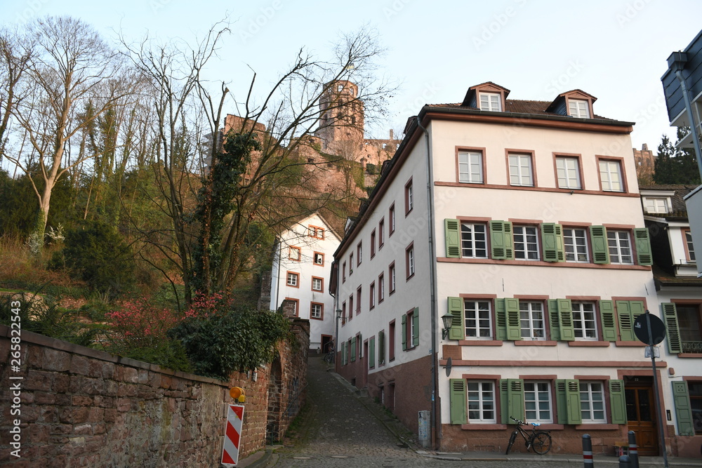Heidelberger Schloss vom Eselspfad