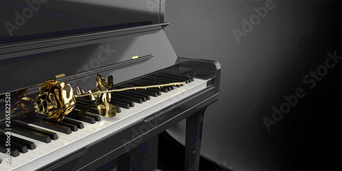 grand black piano in dark room with golden rose