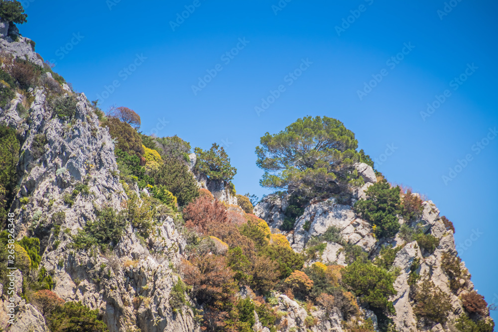 Die bekannten Faraglioni Felsen vor der Insel Capri, Italien