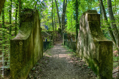 Brücke und Wanderweg im Wald bei Essen Kettwig