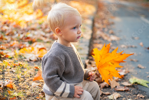 Small baby toddler on sunny autumn day. Warmth and coziness. Happy childhood. Sweet childhood memories. Child autumn leaves background. Warm moments of autumn. Toddler boy blue eyes enjoy autumn
