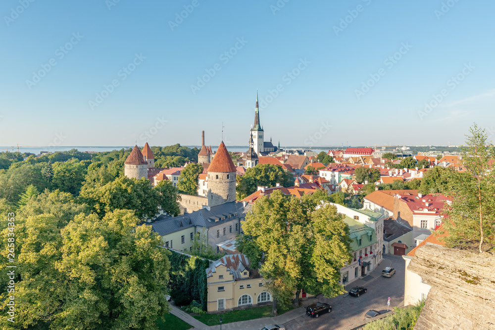 View on Saint Olaf Church from a viewpoint located in the Toompea district of the Old Town, Tallinn, Estonia