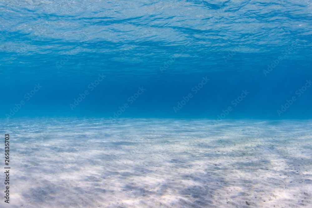 Obraz premium Sandy seabed