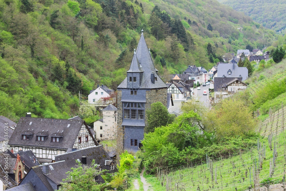 A tower in the vineyard (Bacharach, Germany, Europe)