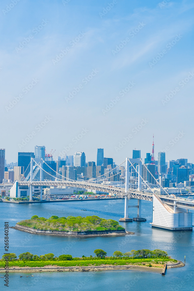 東京の都市風景 Tokyo city skyline , Japan.