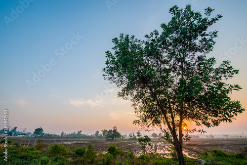 Morning light in the countryside.2