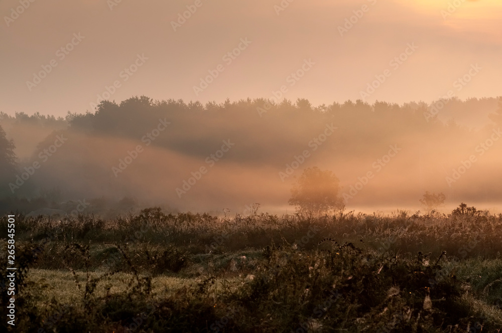 Morgennebel über einem Feld bei Sonnenaufgang