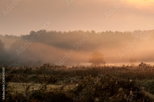 Fototapeta Naklejka Na Ścianę i Meble -  Morgennebel über einem Feld bei Sonnenaufgang