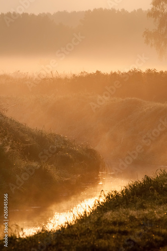 Morgennebel über einem Bach bei Sonnenaufgang © luna