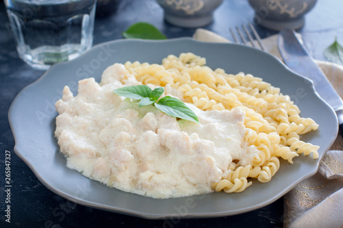 Fricassee, chicken meat in a creamy sauce, with pasta, horizontal