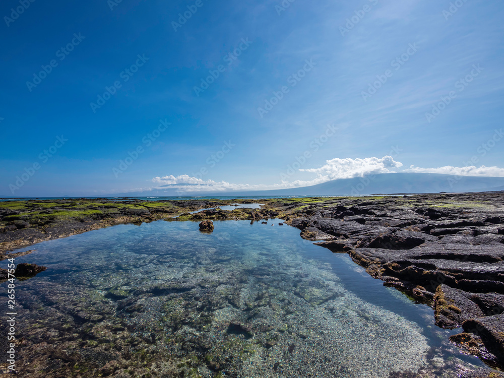Beautiful shoreline scenery of Fernandina Island, Galapagos, Ecuador