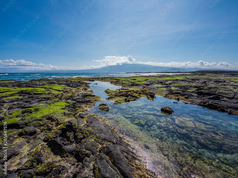 Beautiful shoreline scenery of Fernandina Island, Galapagos, EcuadorBeautiful shoreline scenery of Fernandina Island, Galapagos, Ecuador