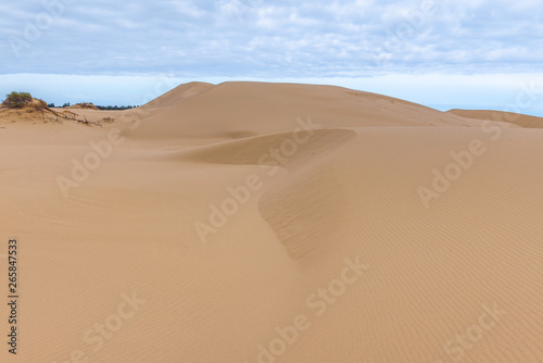 Oregon Dunes National Recreation Area  USA