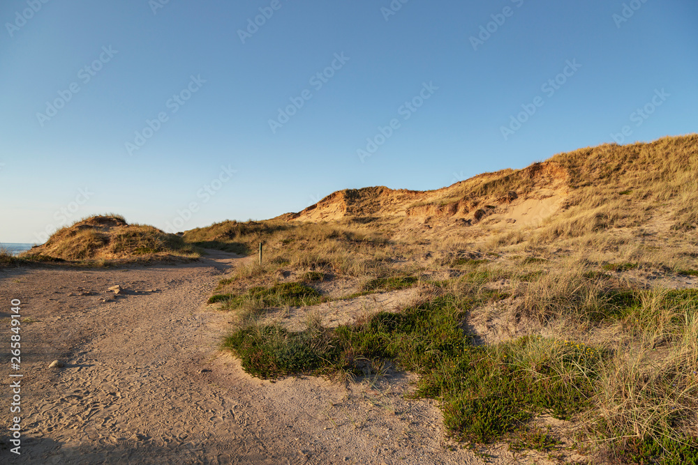 Hiking Path to the Red Cliff  at Sylt / Germany