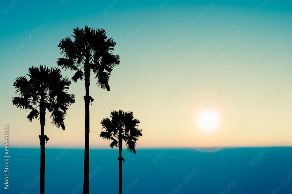 Palm trees sunset .Tropical horizon abstract background