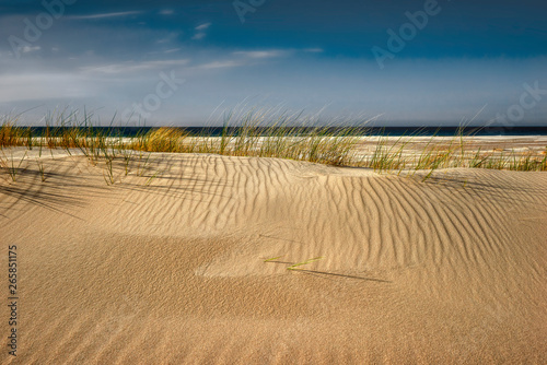 Moving sand dunes, Slowinski National Park, Leba, Poland