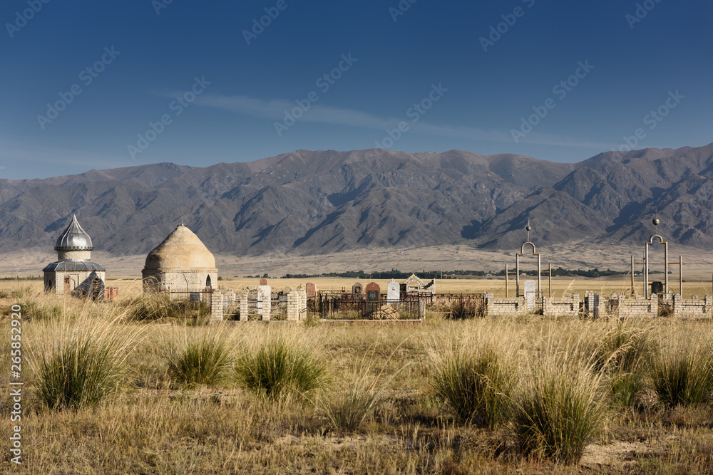 Cemetery at Socjol Karamolda Kazakhstan with Koyandy Ak Tau mountain range