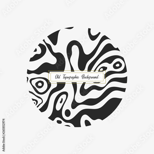 Abstract topographic vector map in a circle form.