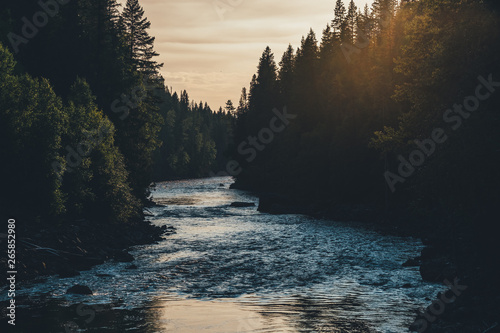 Ein Fluss fliesst im Sonnenuntergang ruhig zwischen den Bäumen Richtung Meer
