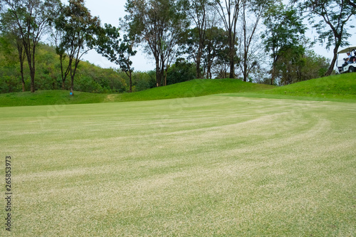 Golf course landscape