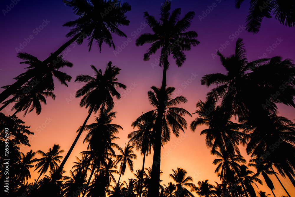 tropical beach with coconut tree at sunset 