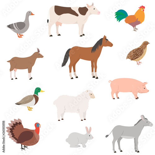 Farm animals set. Domestic animal. Goose  cow  chicken  horse  goat  quail  duck  sheep  pig  turkey  rabbit  donkey. Isolated vector illustration
