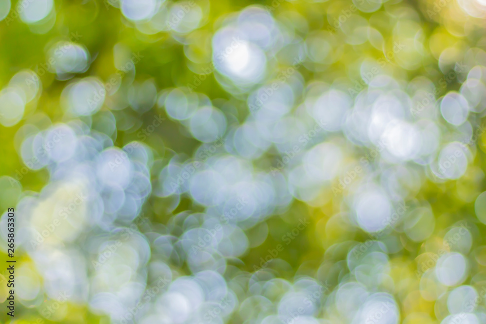 Green leaf bokeh from the sun shining through the outdoor forest. Bokeh background Green leaf bokeh from the sun shining through the outdoor forest. Bokeh background