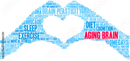 Aging Brain Word Cloud on a white background. 